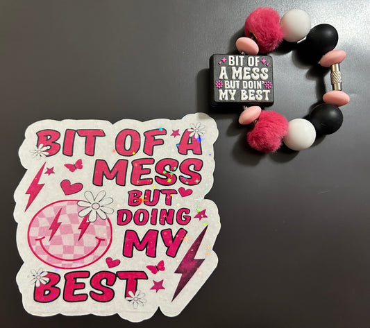 Magnet & Charm-Bit of a Mess