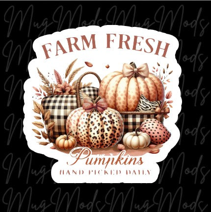 Farm Fresh Pumpkins